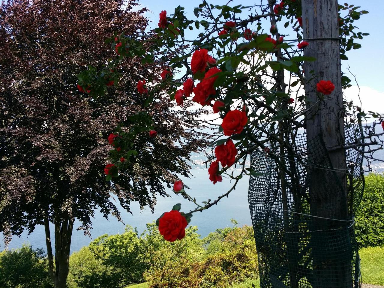 Locanda Pozzetto Laveno-Mombello Esterno foto